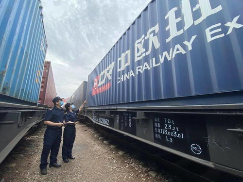 國際海關(guān)日 守護(hù)國門，全力以赴保障供應(yīng)鏈穩(wěn)定高效